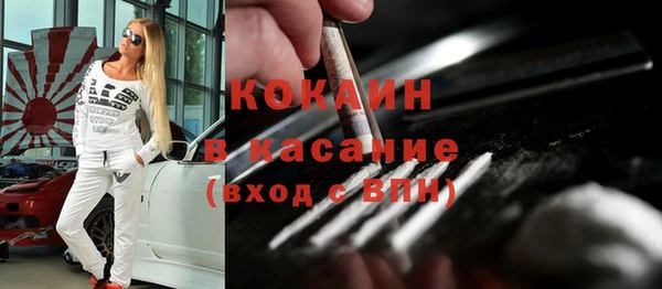 сатива Заволжье