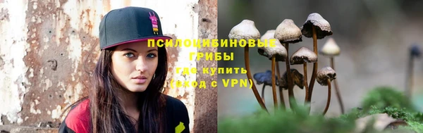 стафф Заволжск